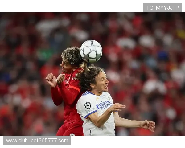 足球直播高清视频下载与缓存攻略让你随时随地回放精彩瞬间