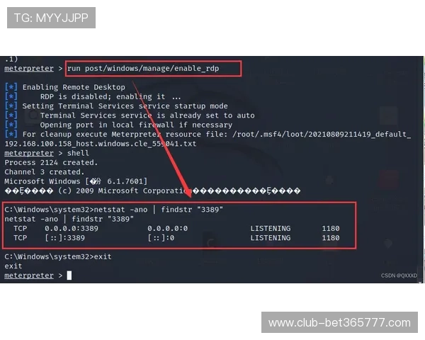inbet平台网页版最新功能介绍与使用技巧全面解析