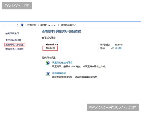 全面解析365bet网站的安全性和用户体验，助你轻松实现投注梦想