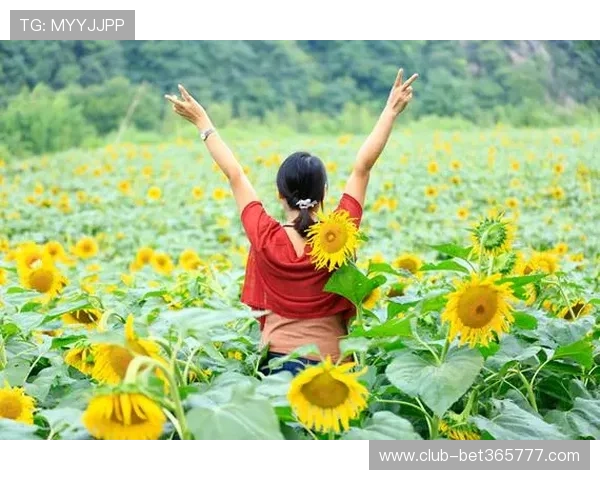 全面解析365bet网站的注册流程与账号安全措施，帮助新手快速上手