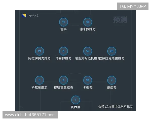 加拿大对波黑比赛赔率走势及专家预测助你做出明智投注决策